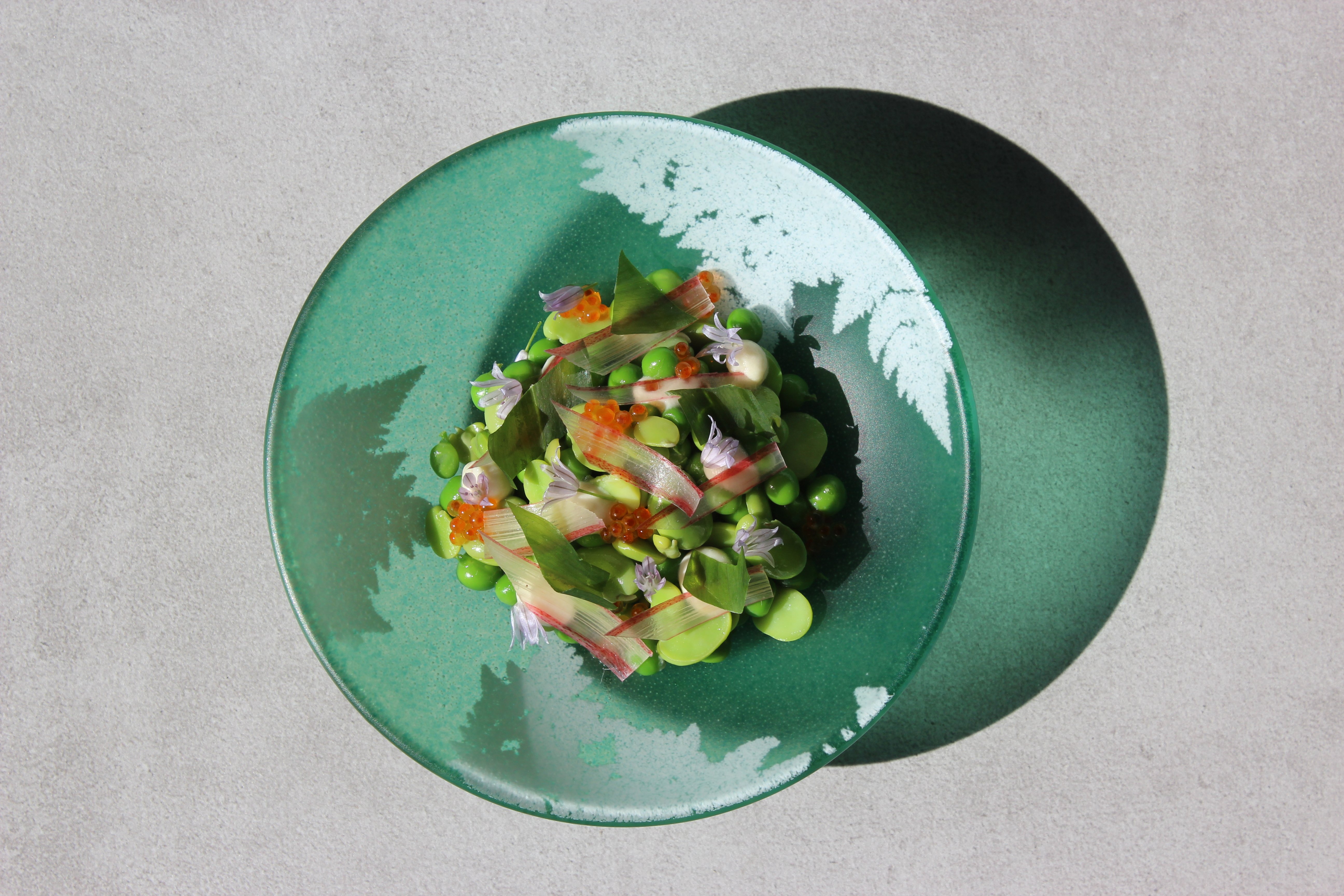 Pinua - Éveil des Saveurs en 7 Temps